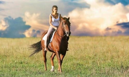 Hot Weather Horse Riding Tips