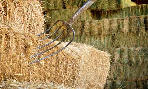 A metal pitchfork rests on a stack of rectangular hay bales in a barn. The scene conveys a rural, agricultural setting with a rustic, earthy tone.
