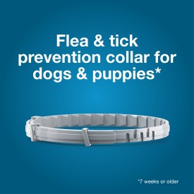 Seresto Flea and Tick Collar for Dogs