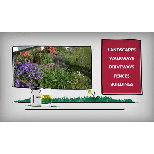 compare and save herbicide Ragan & Massey Compare-N-Save Concentrate Grass and Weed Killer 41% Glyphosate - Landrum, SC