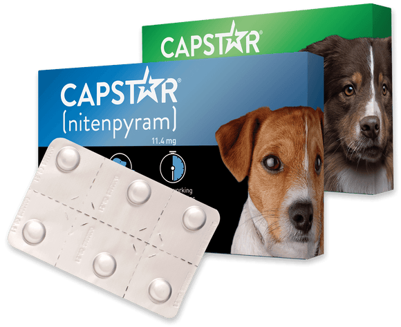 PetIQ CAPSTAR® (nitenpyram) Fast-Acting Oral Flea Treatment for Dogs
