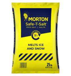MORTON® SAFE-T-SALT
