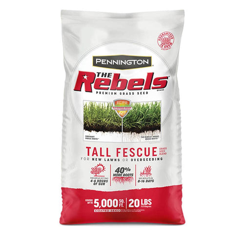 grass seed lowes fescue Pennington The Rebels Tall Fescue Grass Seed Blend - Landrum, SC